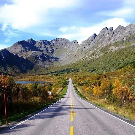 Marina Lofoten