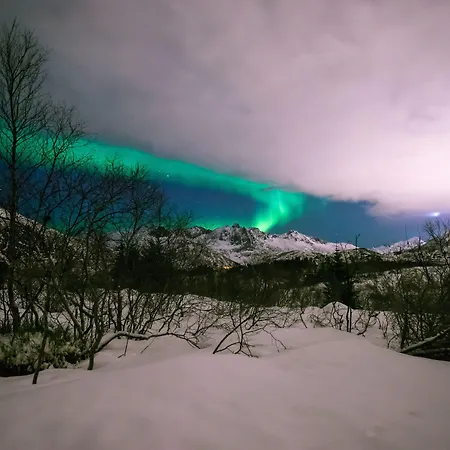 Ξενοδοχείο Marina Lofoten Svolvær